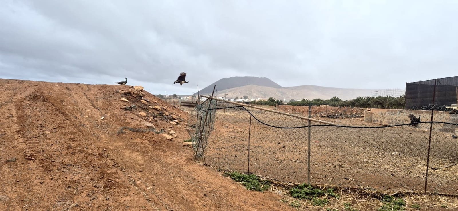 Undeveloped Land for sale in Antigua - € 450,000 (Ref: 9741501)