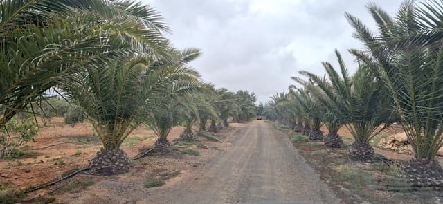 Undeveloped Land for sale in Antigua - € 450,000 (Ref: 9741501)