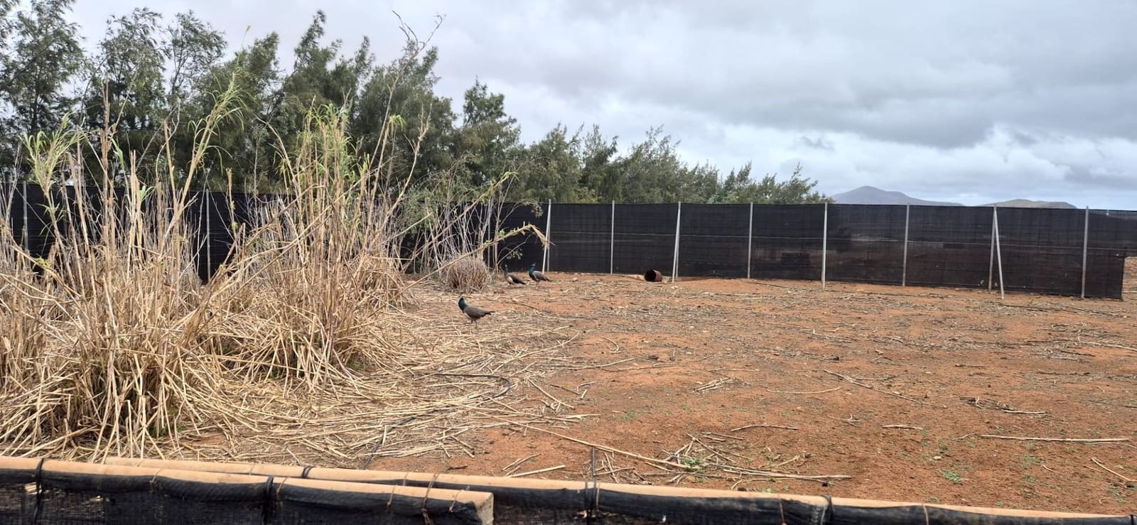 Undeveloped Land for sale in Antigua - € 450,000 (Ref: 9741501)