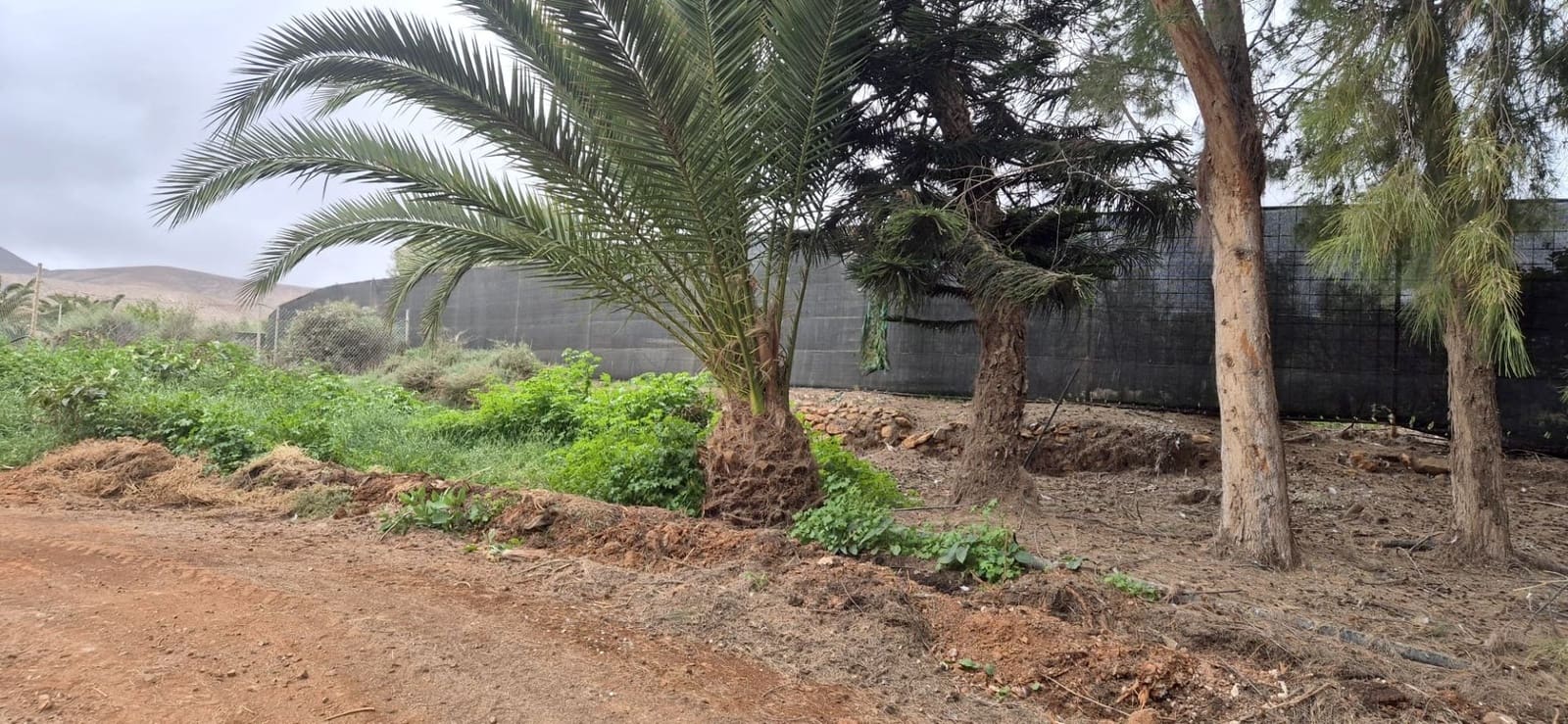 Undeveloped Land for sale in Antigua - € 450,000 (Ref: 9741501)