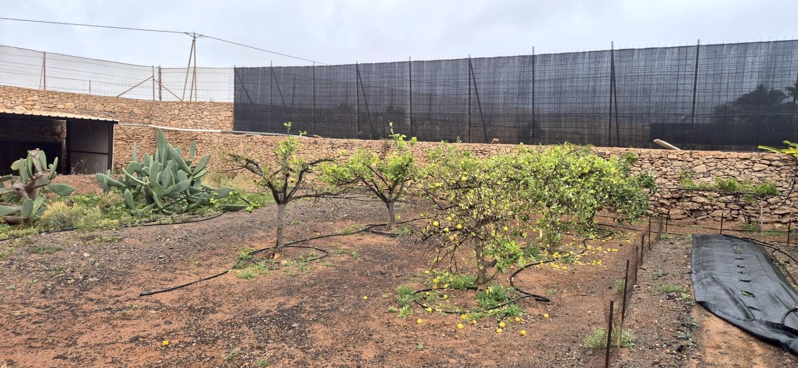 Undeveloped Land for sale in Antigua - € 450,000 (Ref: 9741501)