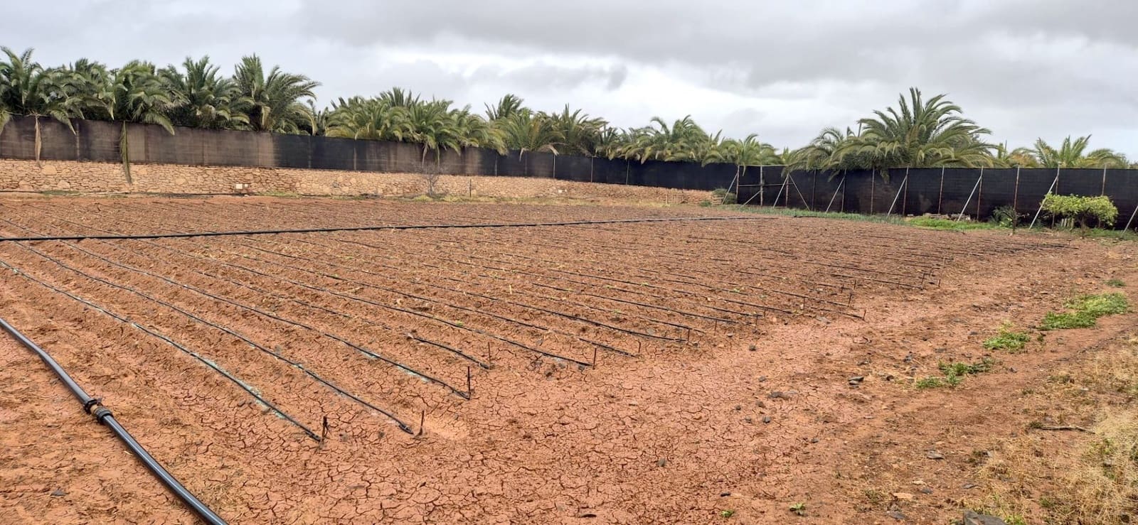 Undeveloped Land for sale in Antigua - € 450,000 (Ref: 9741501)