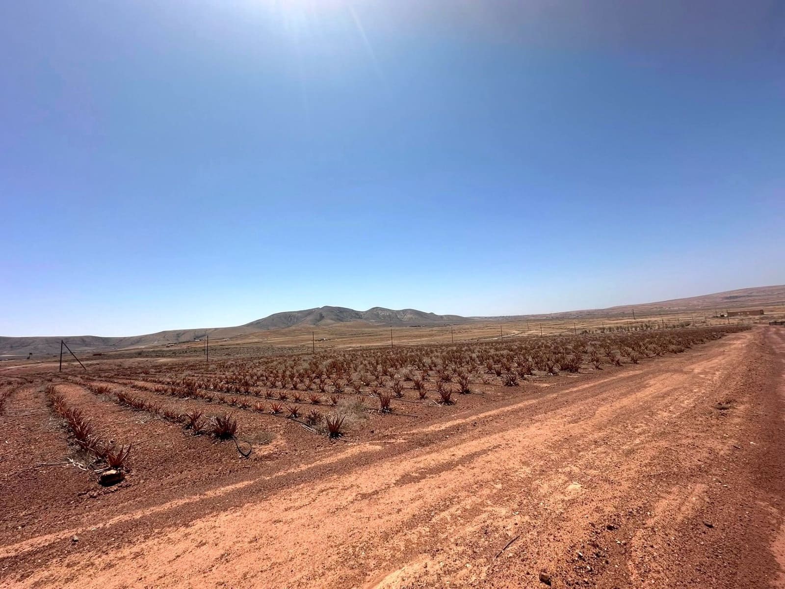 2 sypialnia Finka/Dom wiejski na sprzedaż w Puerto del Rosario - 390 000 € (Ref: 9741502)