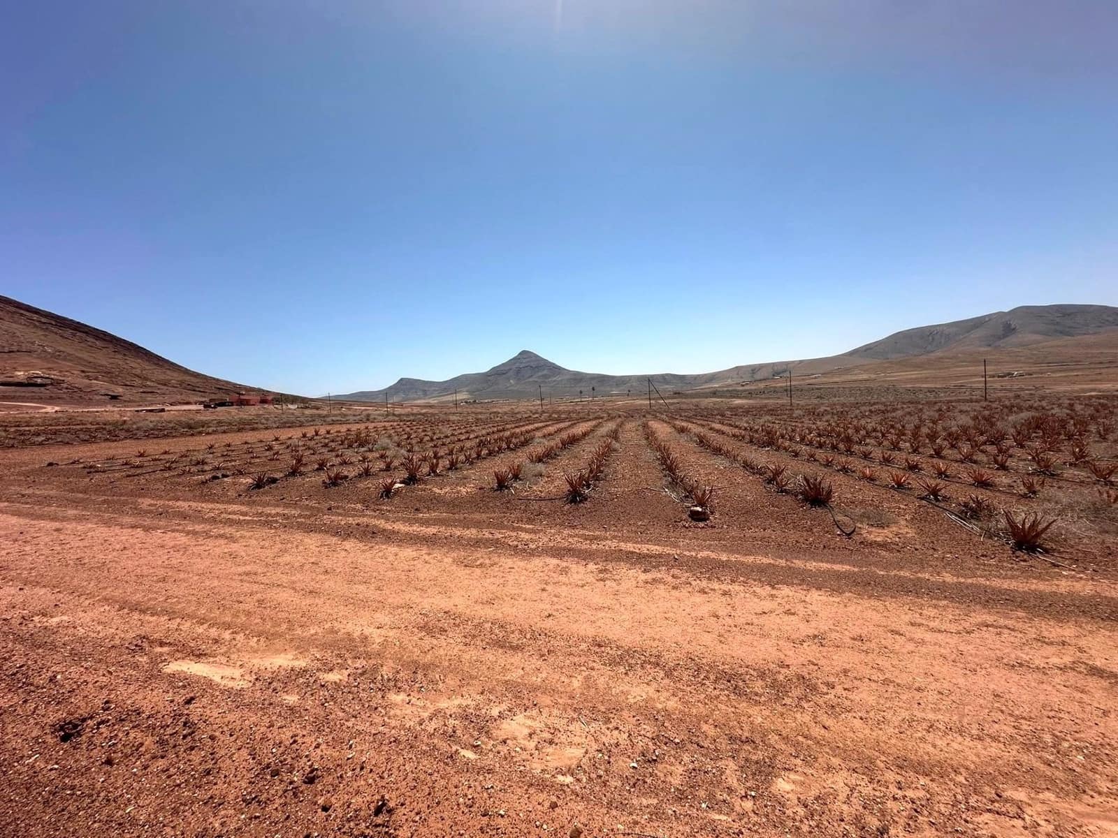 2 sypialnia Finka/Dom wiejski na sprzedaż w Puerto del Rosario - 390 000 € (Ref: 9741502)