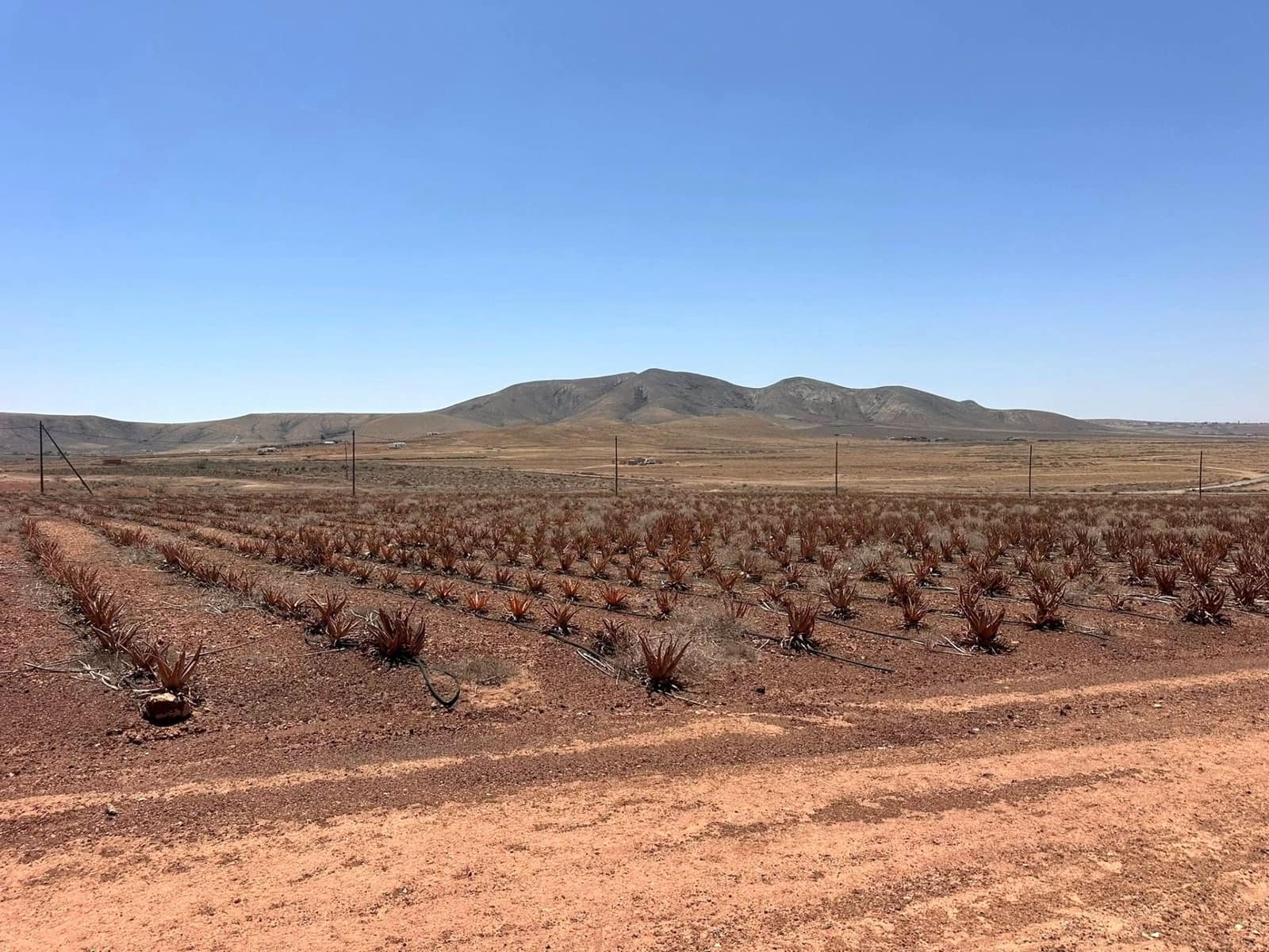 2 sypialnia Finka/Dom wiejski na sprzedaż w Puerto del Rosario - 390 000 € (Ref: 9741502)