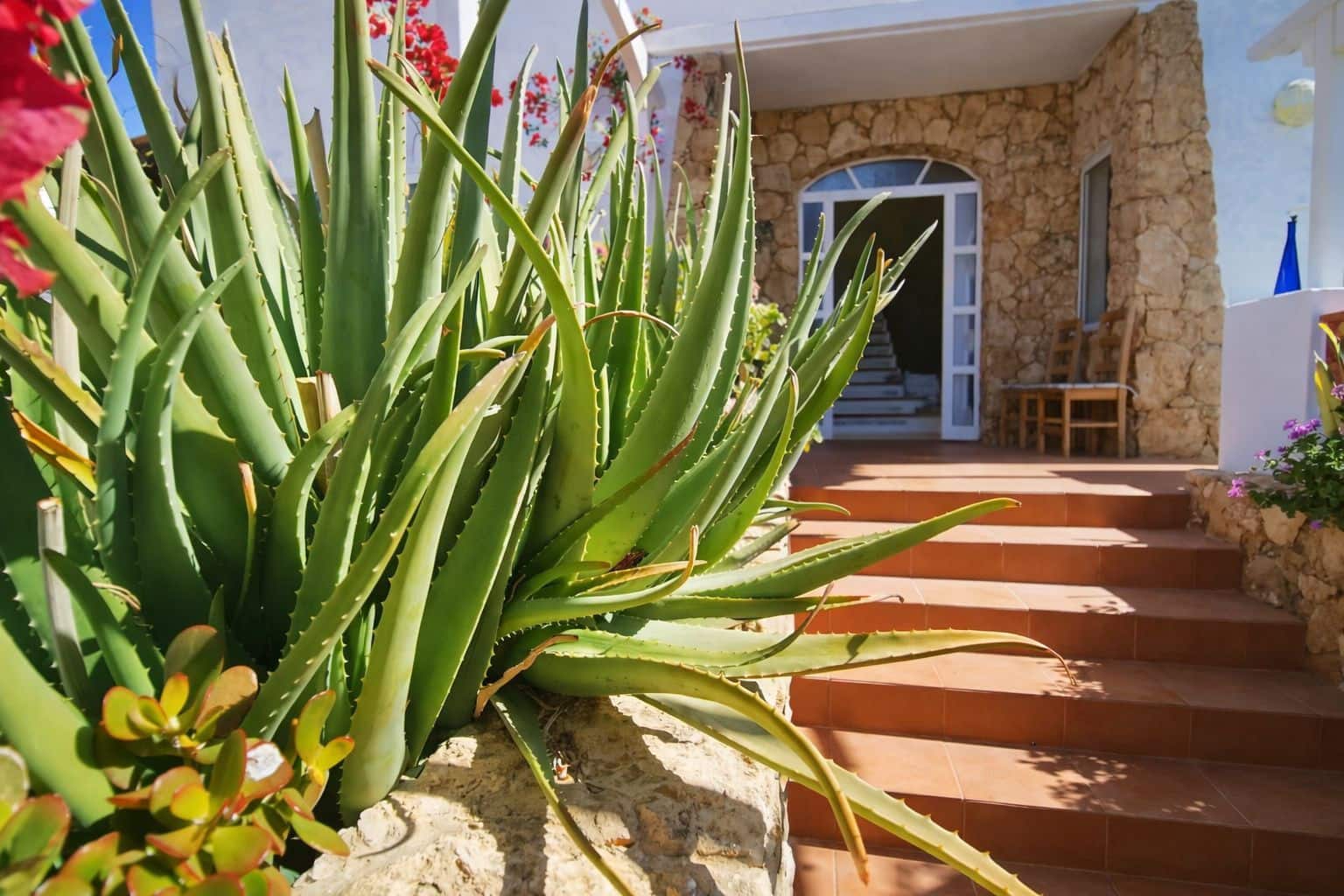 7 Zimmer Villa zu verkaufen in Tarajalejo mit Pool Garage - 650.000 € (Ref: 9794078)