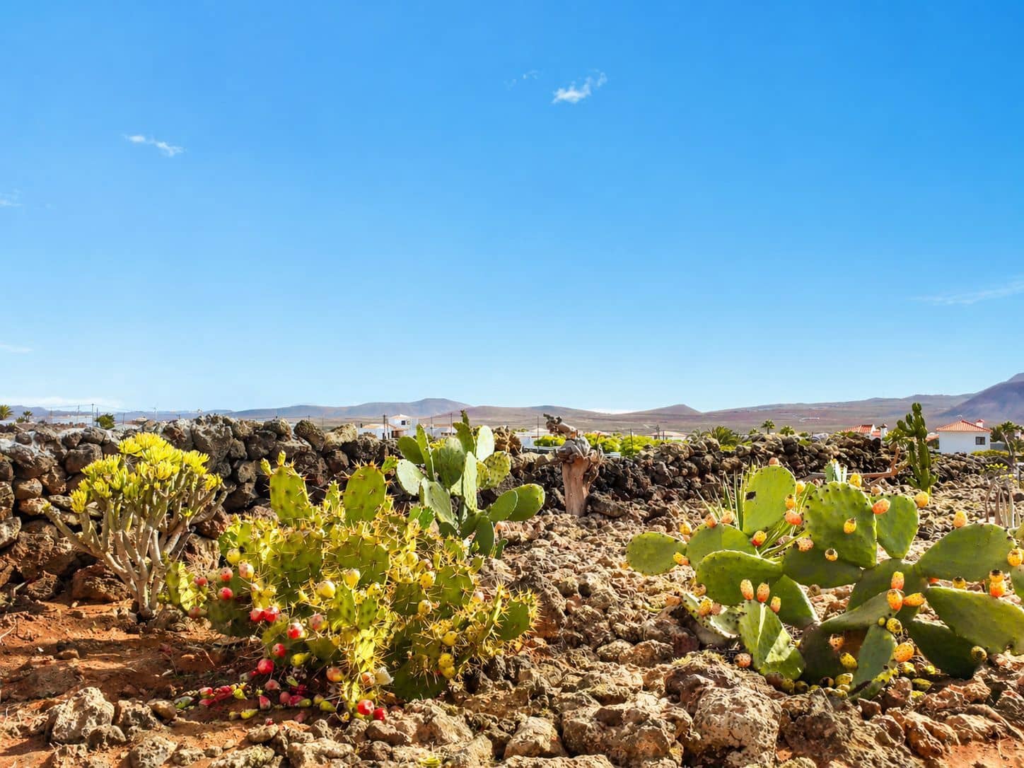 5 bedroom Villa for sale in Villaverde with pool - € 1,530,000 (Ref: 9796283)