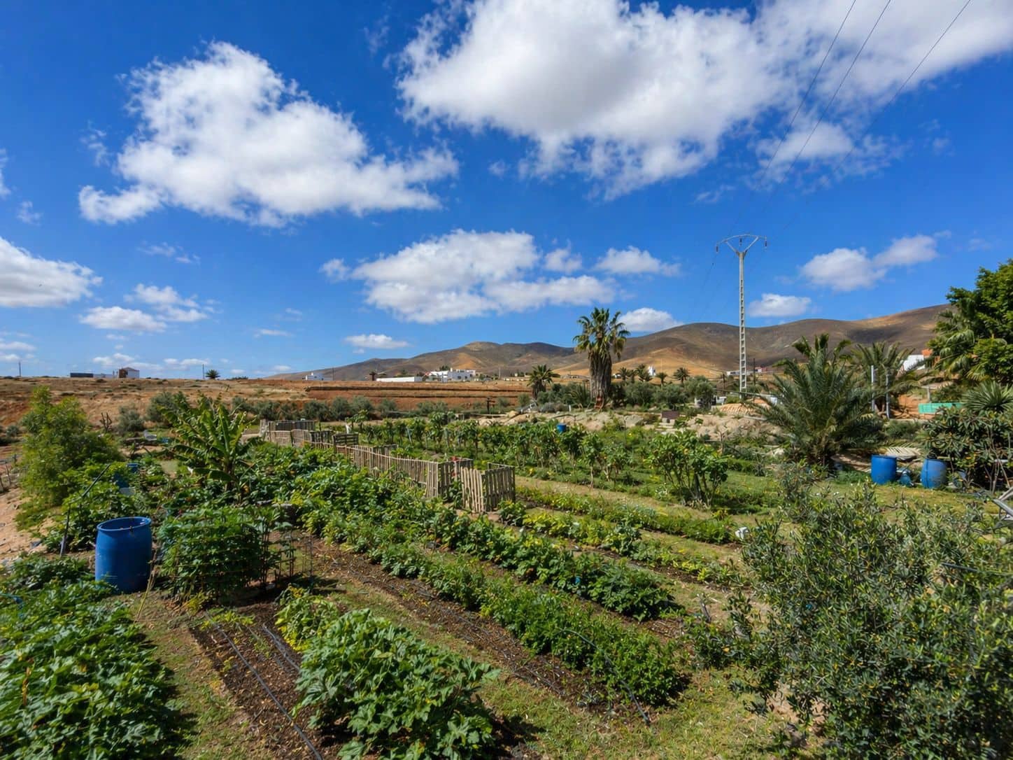 3 camera da letto Finca/Casa di Campagna in vendita in Antigua con garage - 750.000 € (Rif: 9798680)