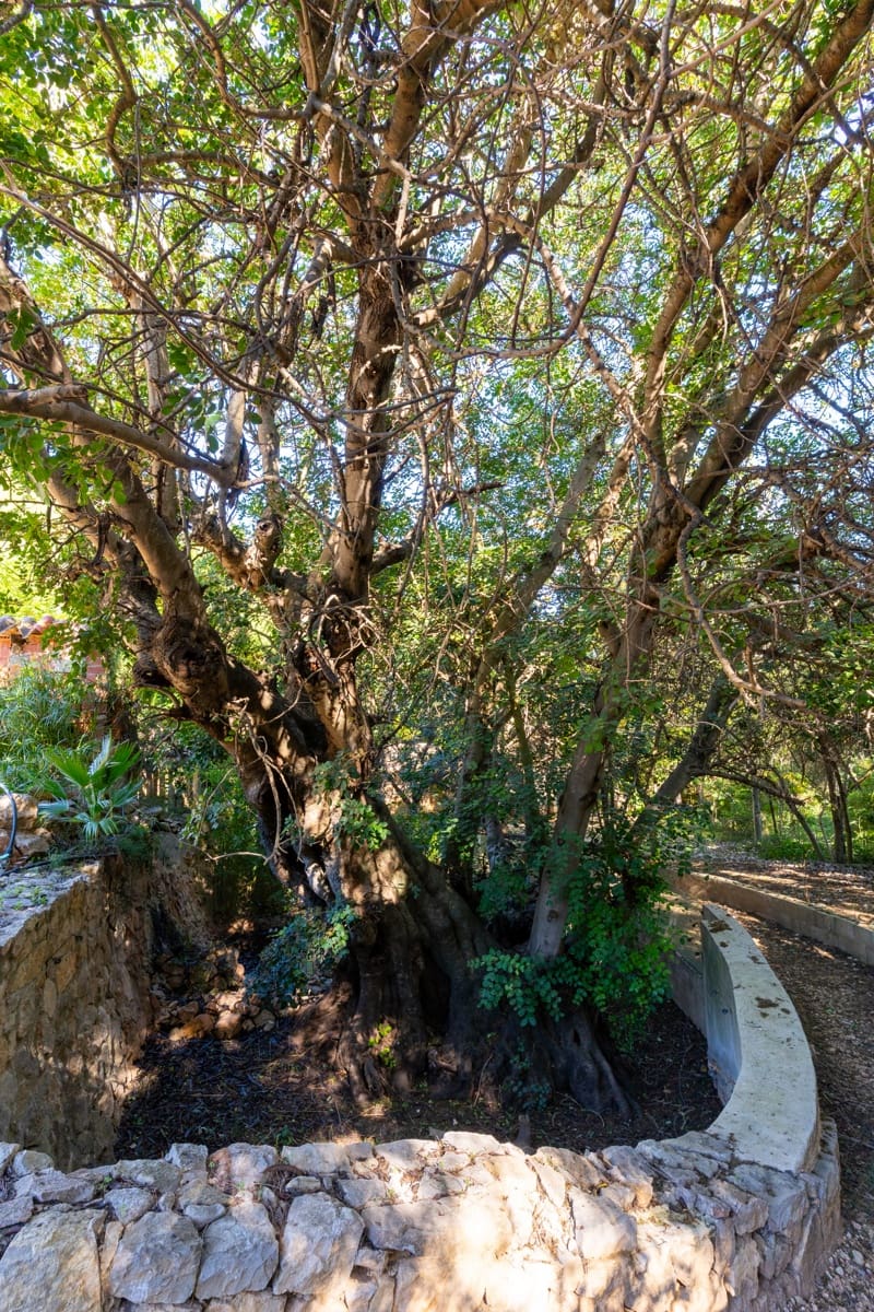 6 sypialnia Finka/Dom wiejski na sprzedaż w Lliber z basenem - 1 500 000 € (Ref: 9534353)