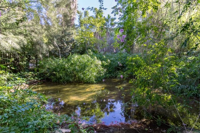 6 sypialnia Finka/Dom wiejski na sprzedaż w Llíber z basenem - 1 500 000 € (Ref: 9534353)