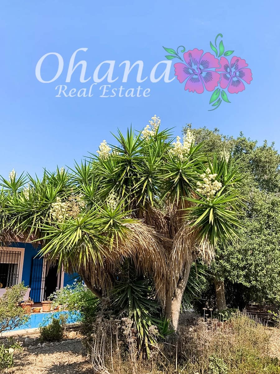 3 slaapkamer Finca/Landhuis te koop in Gea y Truyols met zwembad garage - € 265.000 (Ref: 9599963)