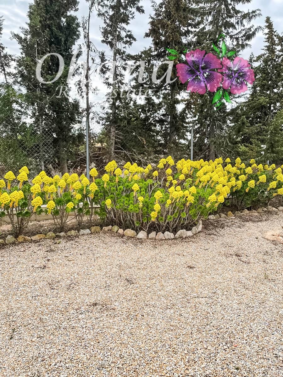 3 slaapkamer Finca/Landhuis te koop in Gea y Truyols met zwembad garage - € 265.000 (Ref: 9599963)