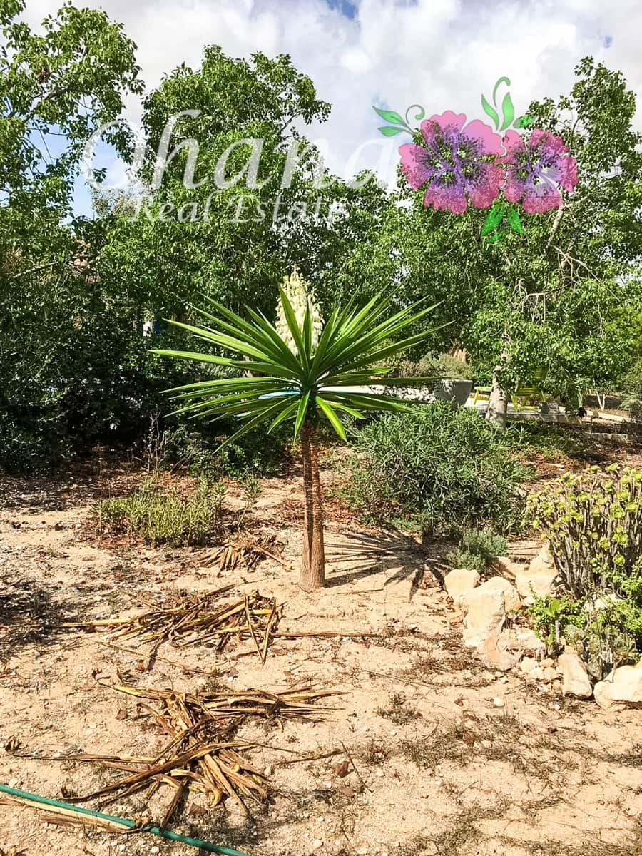 3 slaapkamer Finca/Landhuis te koop in Gea y Truyols met zwembad garage - € 265.000 (Ref: 9599963)