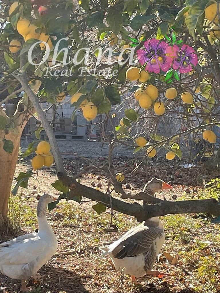 6 makuuhuone Maalaistalo myytävänä paikassa Los Alcazares mukana uima-altaan 
autotalli - 498 000 € (Ref: 9604468)