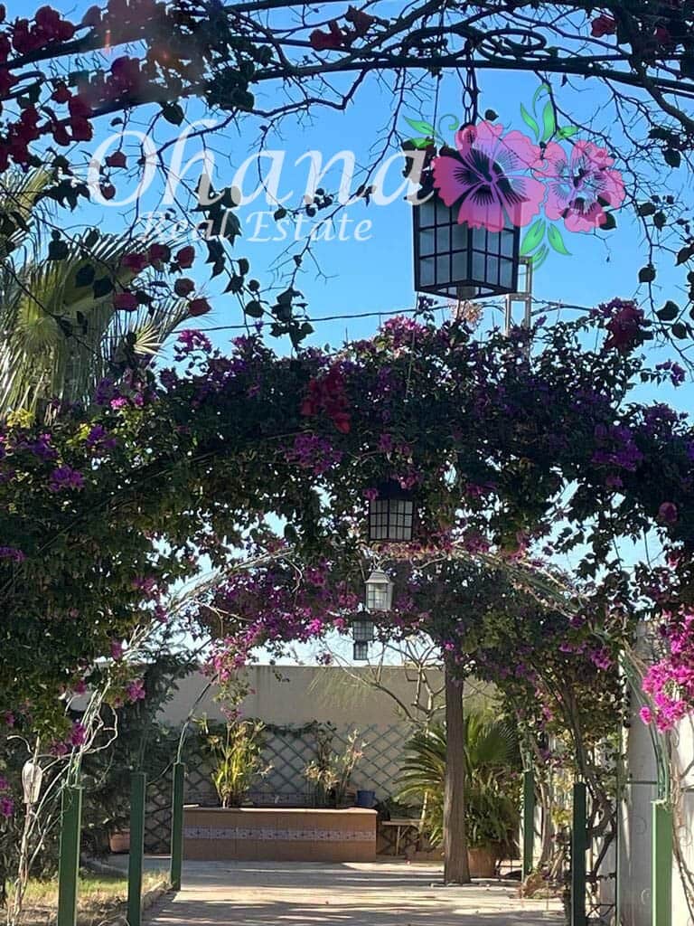 6 makuuhuone Maalaistalo myytävänä paikassa Los Alcazares mukana uima-altaan 
autotalli - 498 000 € (Ref: 9604468)