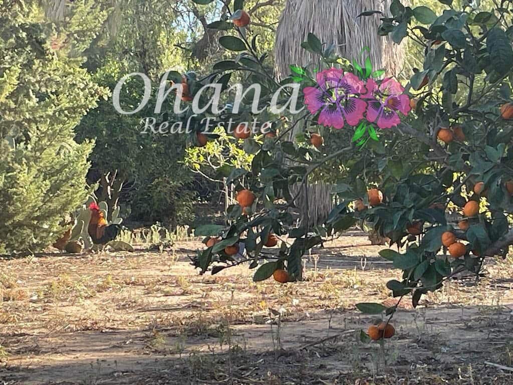 6 makuuhuone Maalaistalo myytävänä paikassa Los Alcazares mukana uima-altaan 
autotalli - 498 000 € (Ref: 9604468)