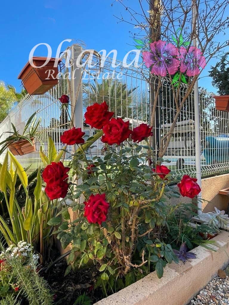 6 makuuhuone Maalaistalo myytävänä paikassa Los Alcazares mukana uima-altaan 
autotalli - 498 000 € (Ref: 9604468)