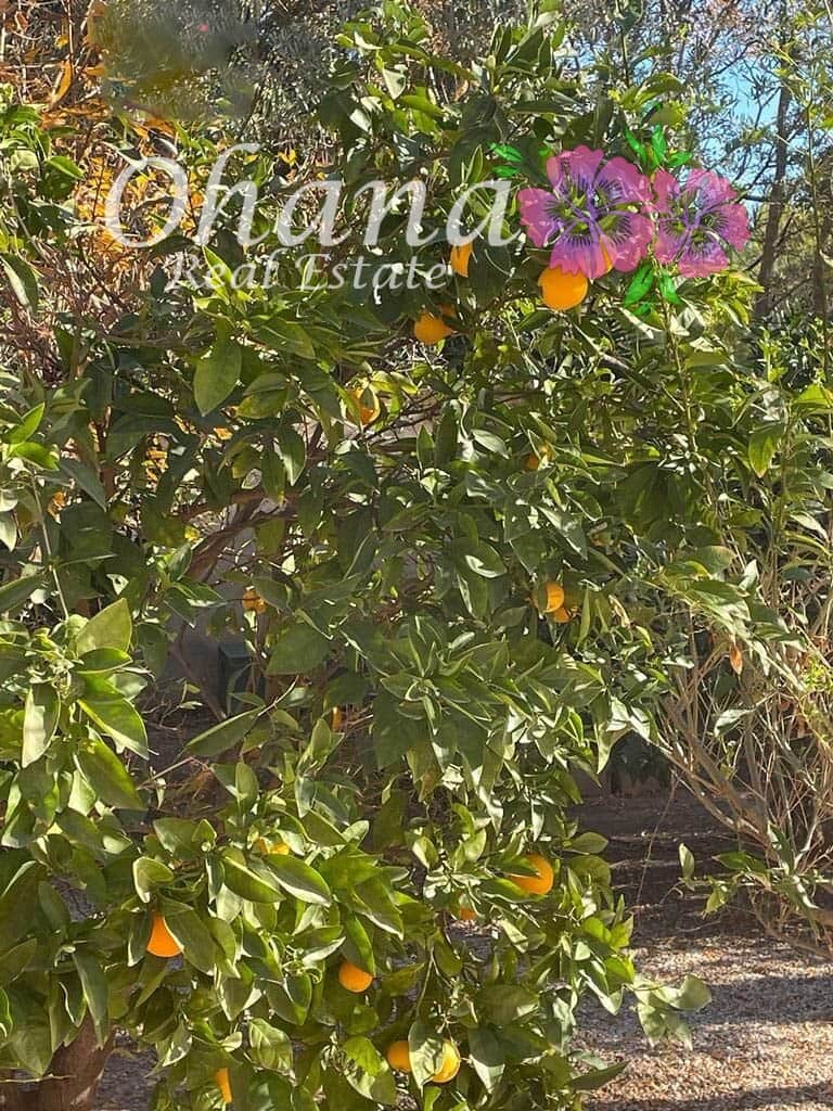 6 makuuhuone Maalaistalo myytävänä paikassa Los Alcazares mukana uima-altaan 
autotalli - 498 000 € (Ref: 9604468)