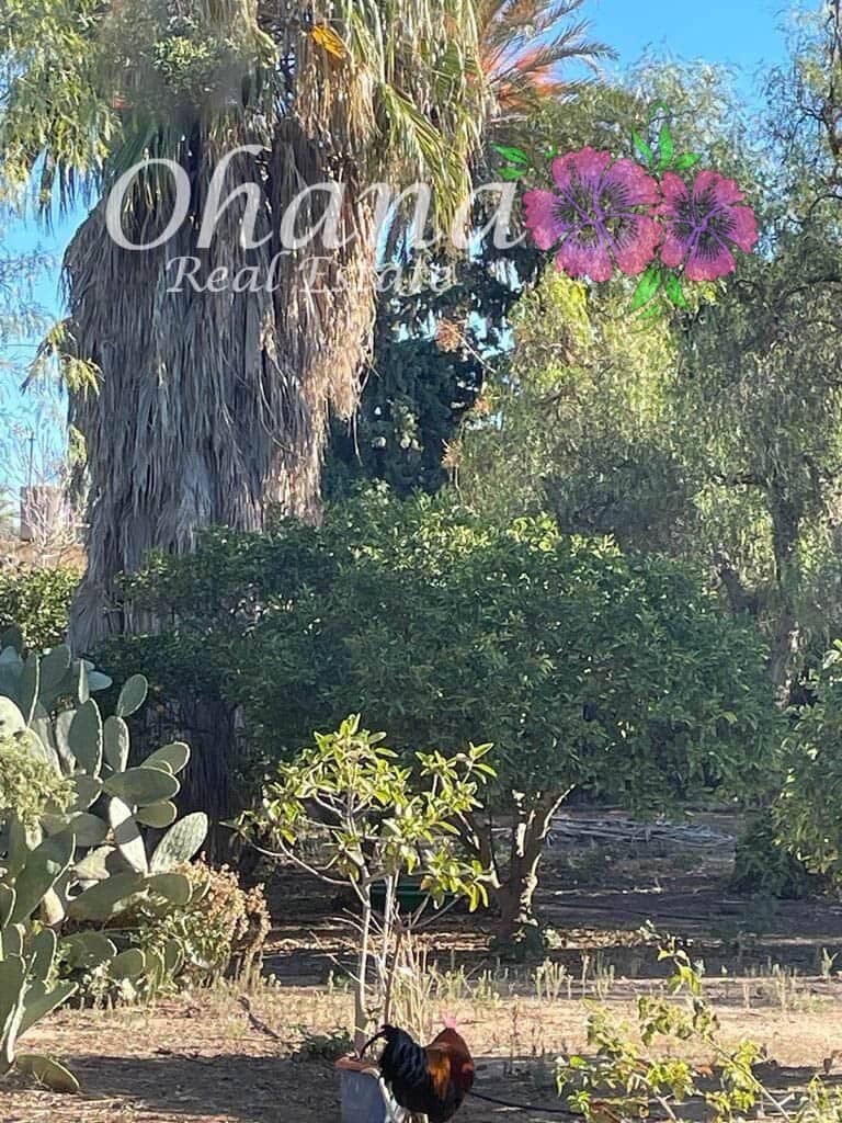 6 makuuhuone Maalaistalo myytävänä paikassa Los Alcazares mukana uima-altaan 
autotalli - 498 000 € (Ref: 9604468)