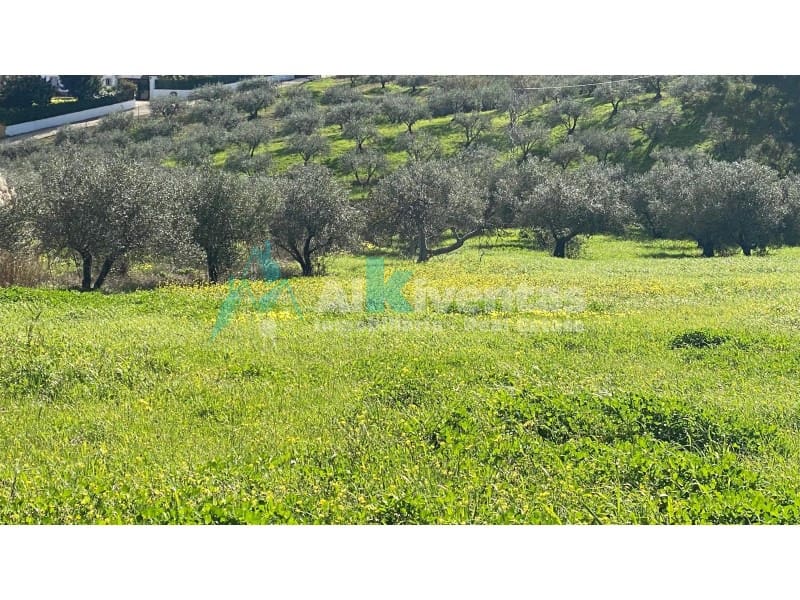 Rakentamaton maa myytävänä paikassa Alhaurin de la Torre - 75 000 € (Ref: 9626243)