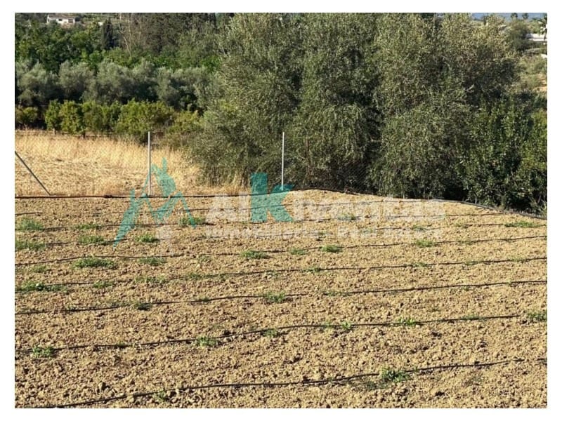 Finca/Casa Rural en Alhaurín el Grande en venta - 490.000 € (Ref: 9627524)