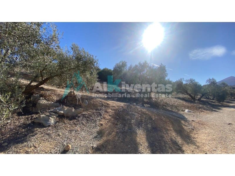 5 quarto Quinta/Casa Rural para venda em Valle de Abdalajis - 499 000 € (Ref: 9627525)