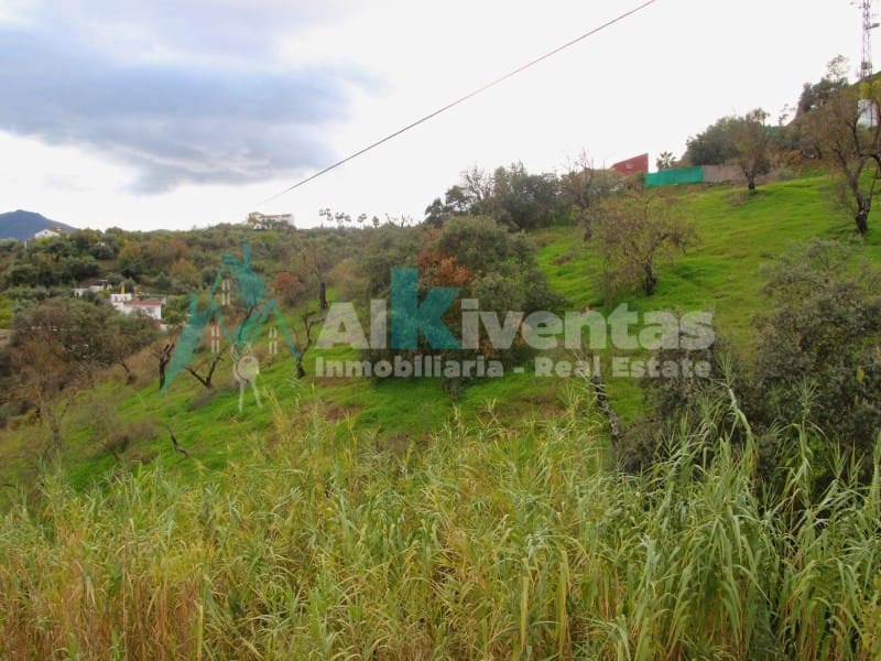 5 sovrum Villa till salu i Monda - 1 190 000 € (Ref: 9627529)