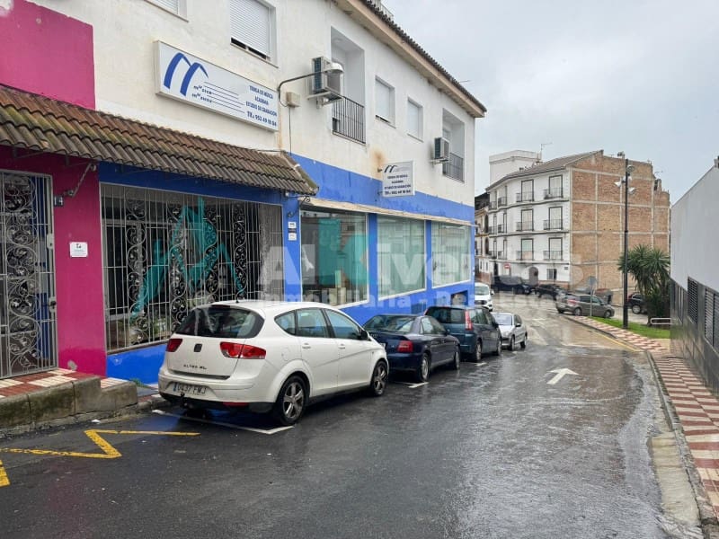 Kommersiell till salu i Alhaurin el Grande - 439 000 € (Ref: 9637301)