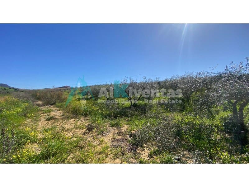 Undeveloped Land for sale in Alora - € 279,000 (Ref: 9711824)