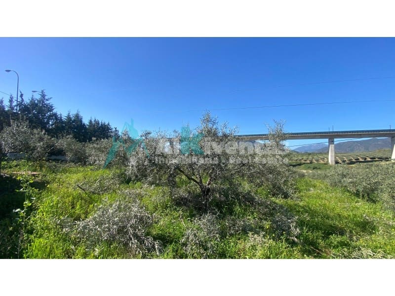 Undeveloped Land for sale in Alora - € 279,000 (Ref: 9711824)