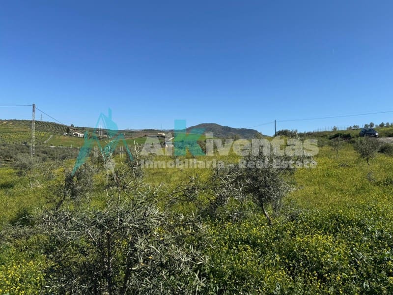 Undeveloped Land for sale in Alora - € 279,000 (Ref: 9711824)