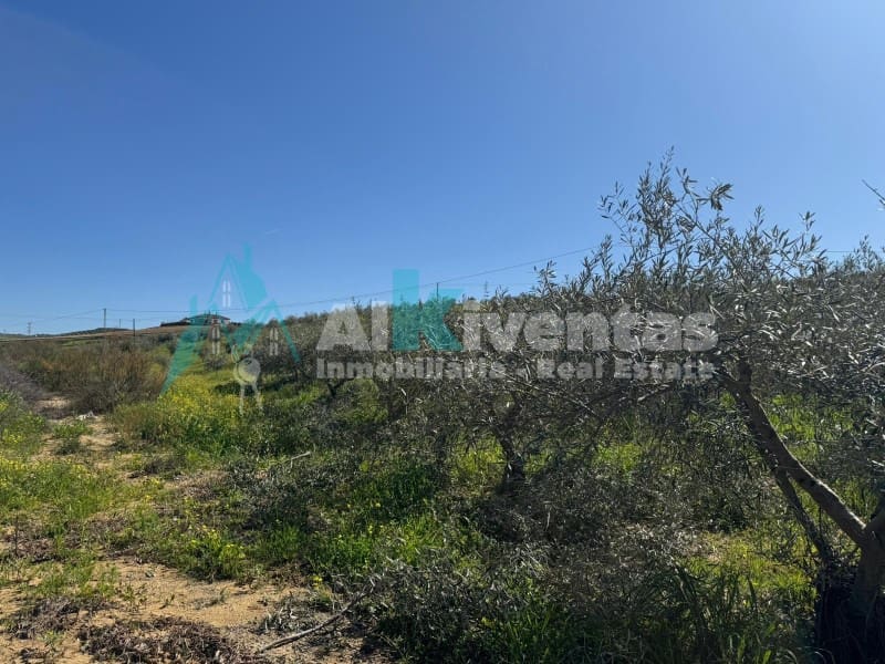 Undeveloped Land for sale in Alora - € 279,000 (Ref: 9711824)