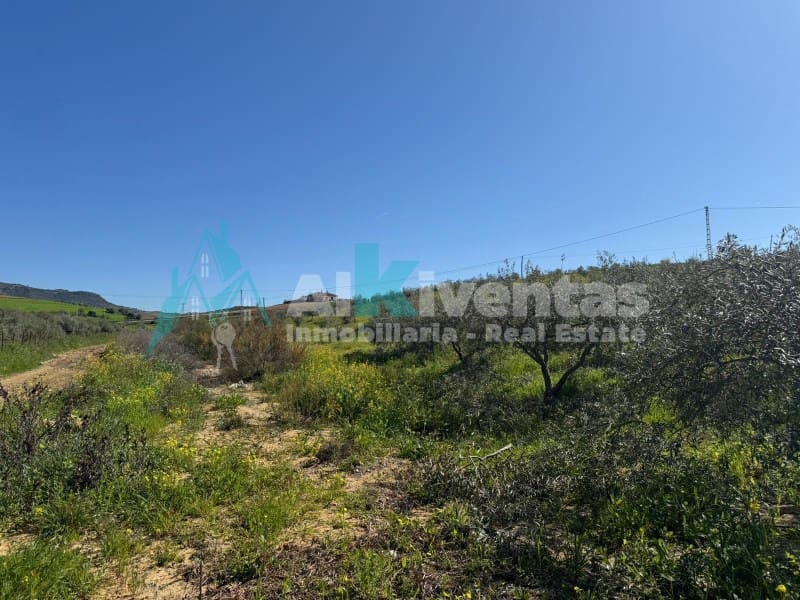 Undeveloped Land for sale in Alora - € 279,000 (Ref: 9711824)