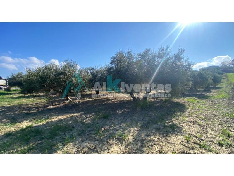 Grunde uden byggetilladelser til salg i Alhaurin el Grande - € 72.000 (Ref: 9755611)