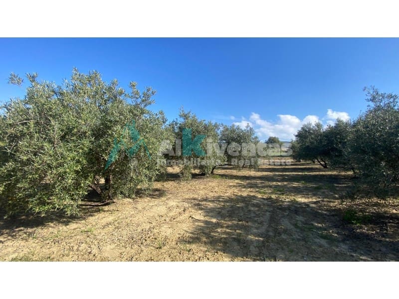 Grunde uden byggetilladelser til salg i Alhaurin el Grande - € 72.000 (Ref: 9755611)