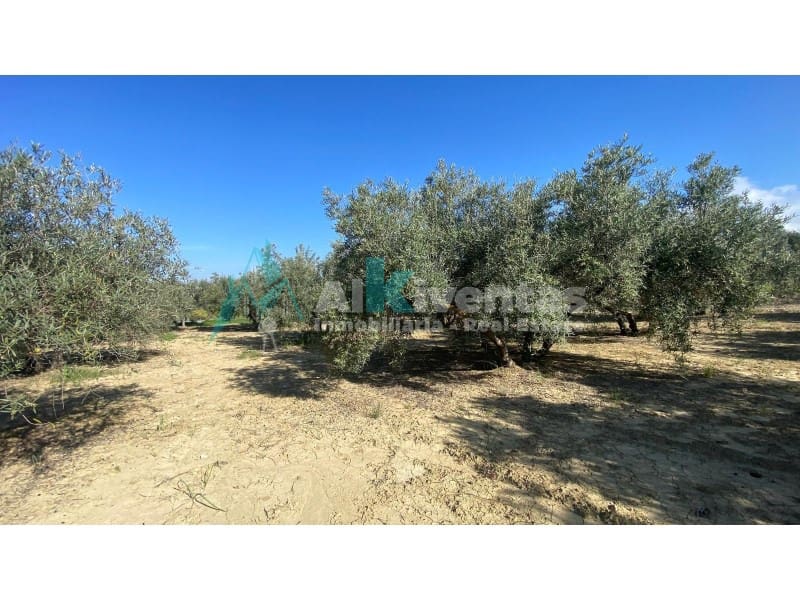 Grunde uden byggetilladelser til salg i Alhaurin el Grande - € 72.000 (Ref: 9755611)