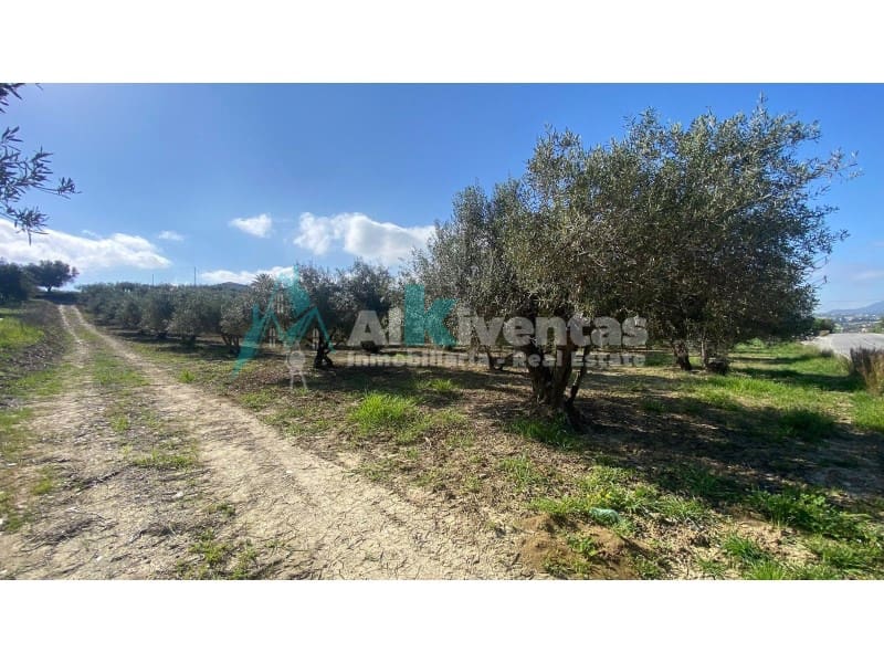 Grunde uden byggetilladelser til salg i Alhaurin el Grande - € 72.000 (Ref: 9755611)