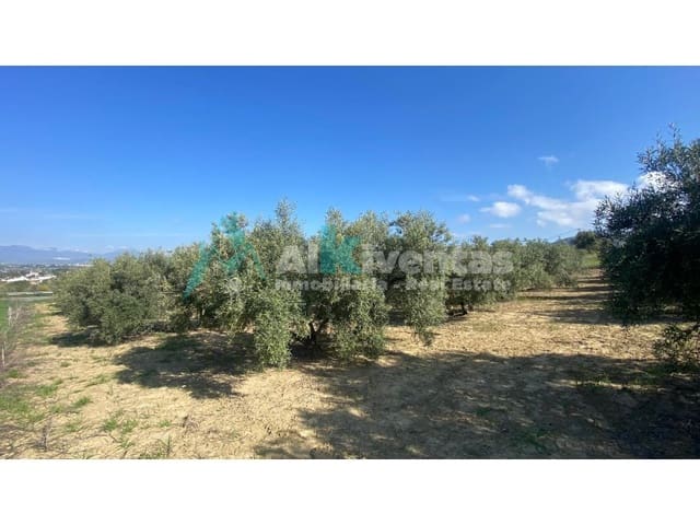 Grunde uden byggetilladelser til salg i Alhaurín el Grande - € 72.000 (Ref: 9755611)