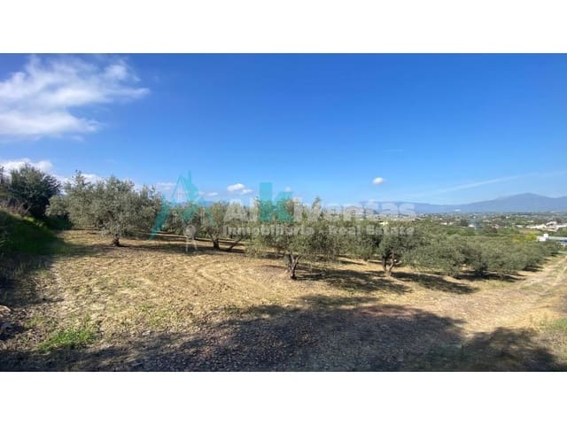 Grunde uden byggetilladelser til salg i Alhaurín el Grande - € 72.000 (Ref: 9755611)