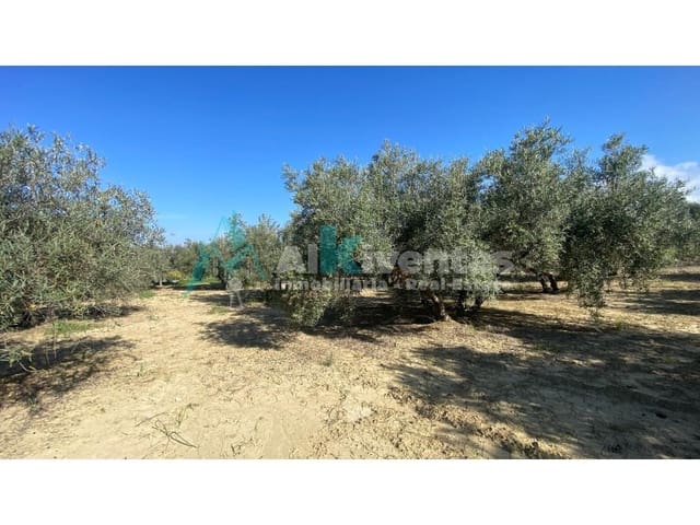 Grunde uden byggetilladelser til salg i Alhaurín el Grande - € 72.000 (Ref: 9755611)