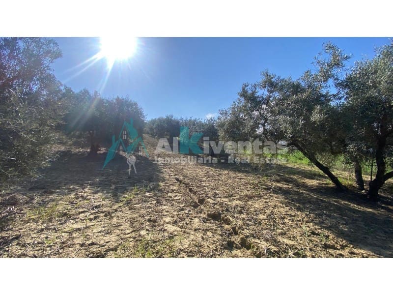 Grunde uden byggetilladelser til salg i Alhaurin el Grande - € 72.000 (Ref: 9755611)