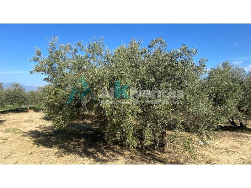 Grunde uden byggetilladelser til salg i Alhaurin el Grande - € 72.000 (Ref: 9755611)