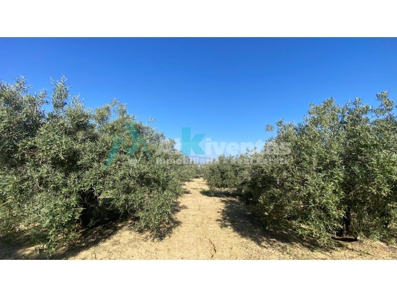 Grunde uden byggetilladelser til salg i Alhaurin el Grande - € 72.000 (Ref: 9755611)