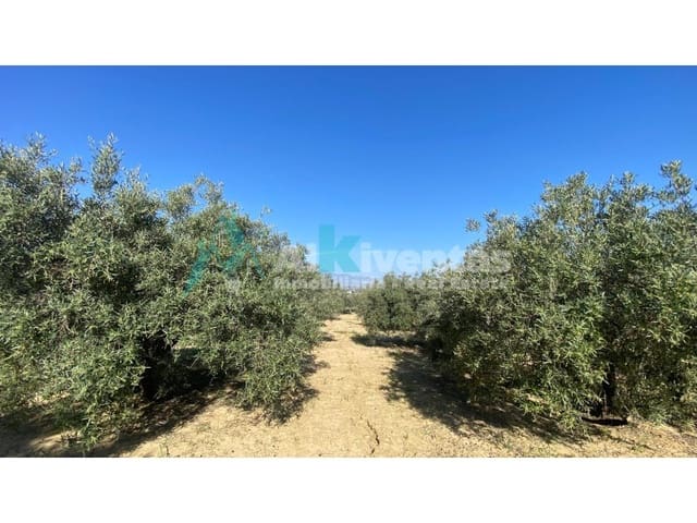 Grunde uden byggetilladelser til salg i Alhaurín el Grande - € 72.000 (Ref: 9755611)