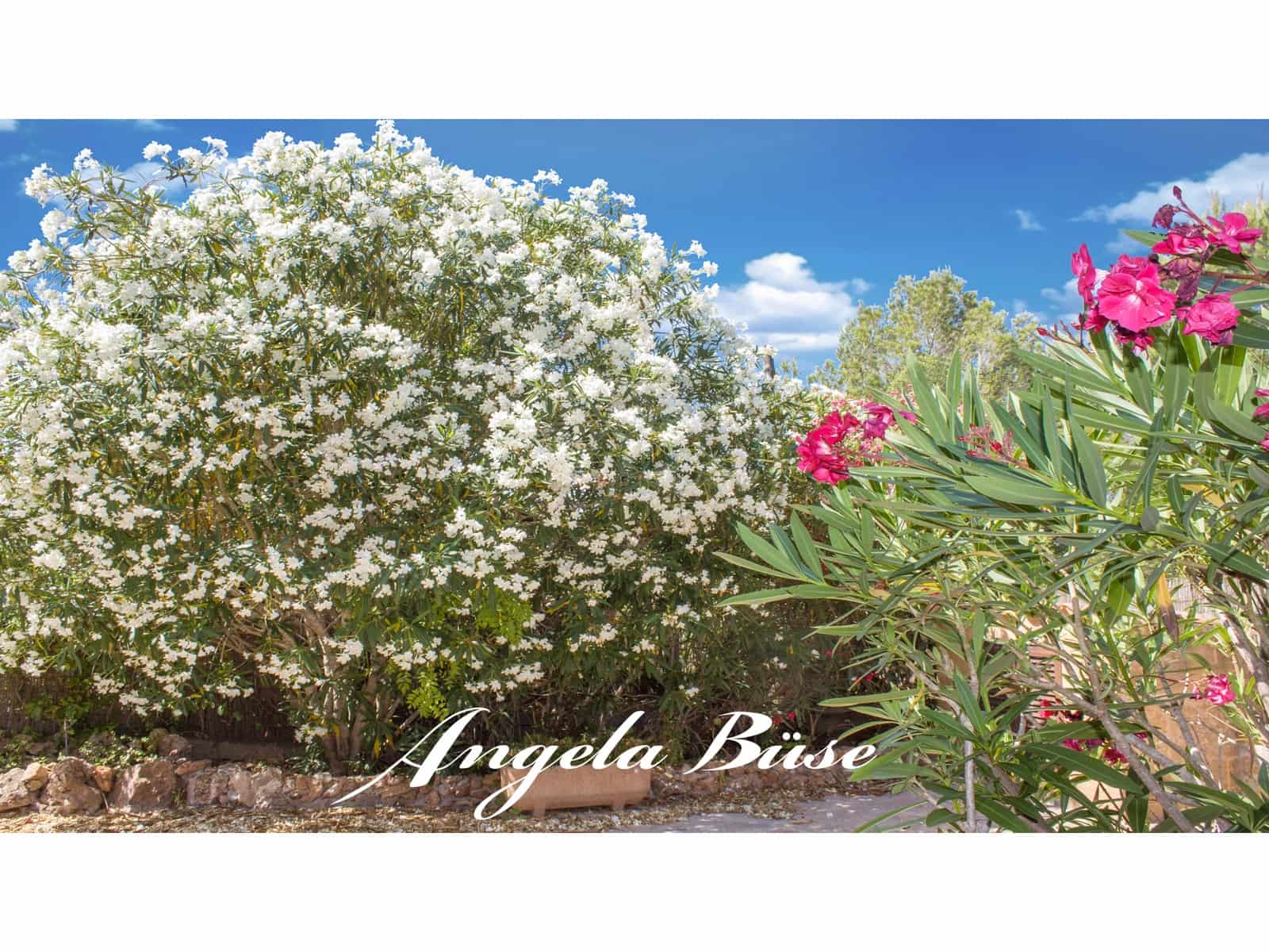 2 sypialnia Dom szeregowy na sprzedaż w Cala Murada z basenem garażem - 420 000 € (Ref: 9626250)