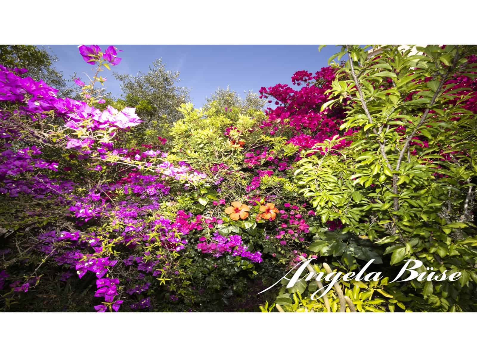 3 soverom Villa til salgs i Cala Murada med svømmebasseng garasje - € 750 000 (Ref: 9640666)