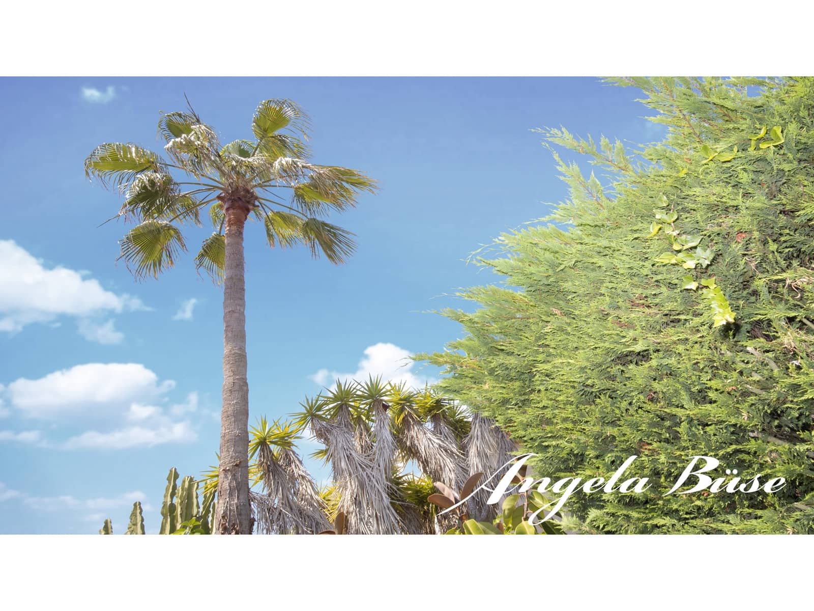 3 soverom Villa til salgs i Cala Murada med svømmebasseng garasje - € 750 000 (Ref: 9640666)