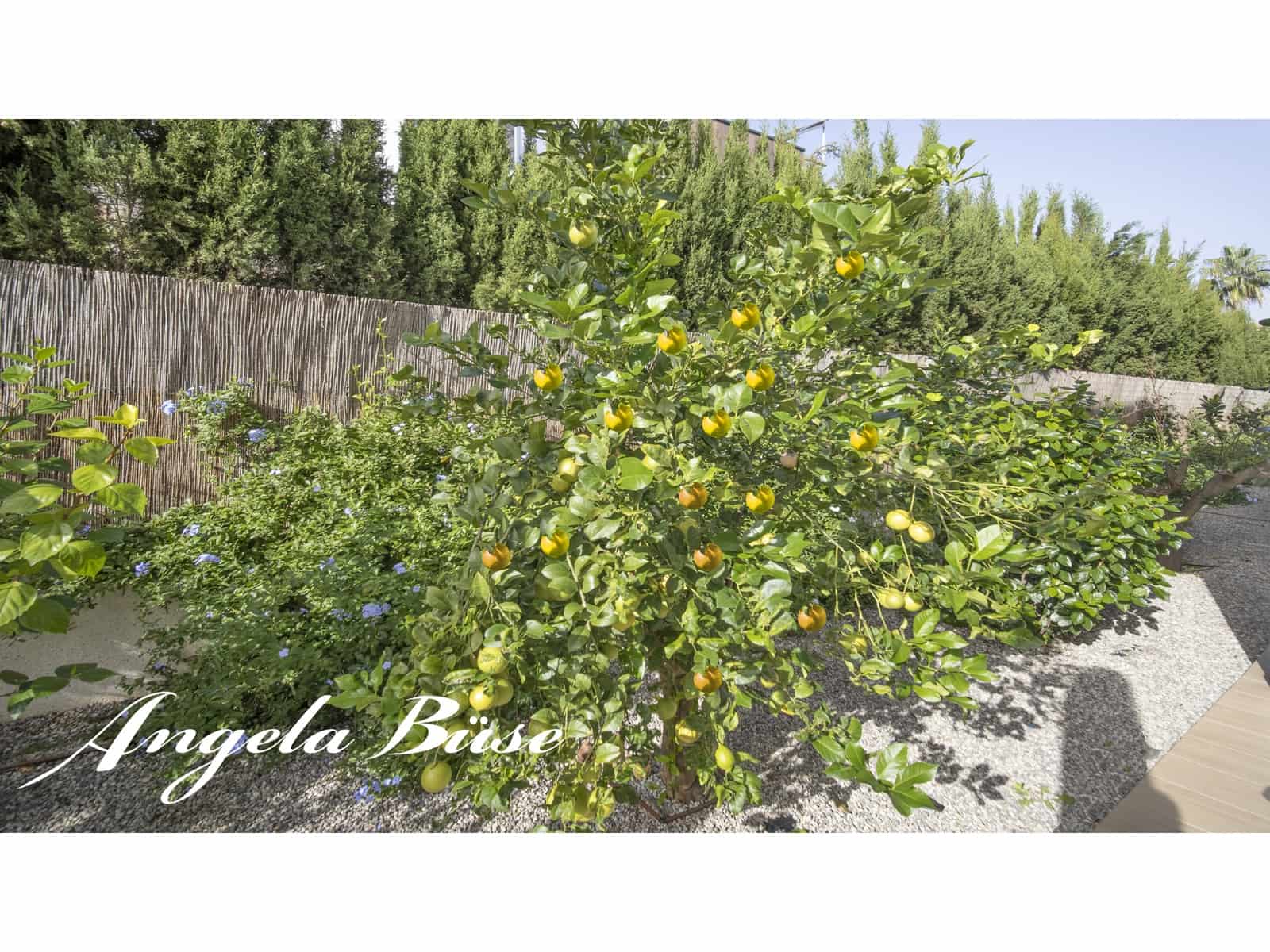 3 sypialnia Willa na sprzedaż w Cala Murada z basenem garażem - 1 200 000 € (Ref: 9640678)