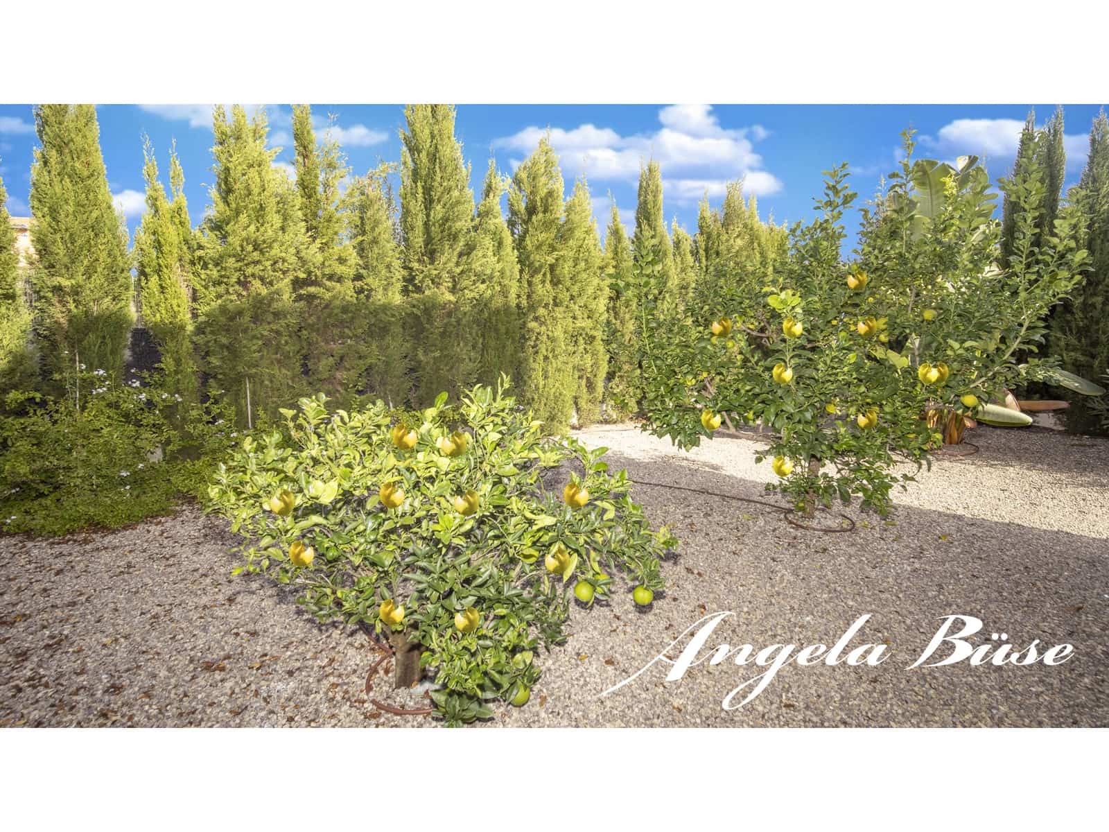 3 sypialnia Willa na sprzedaż w Cala Murada z basenem garażem - 1 200 000 € (Ref: 9640678)