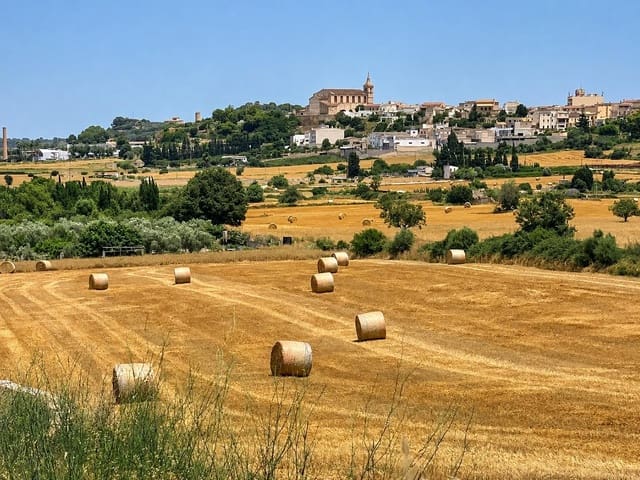 Building Plot for sale in Santa Margalida - € 1,580,000 (Ref: 10024196)
